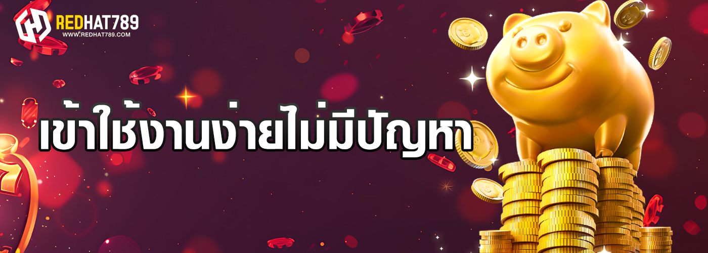 เข้าใช้งานง่ายไม่มีปัญหา