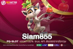 Siam855 เว็บตรง ไม่ผ่านเอเย่นต์ แตกจริง ถอนเงินได้จริง